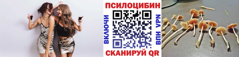 цены наркотик  Россошь  Псилоцибиновые грибы мицелий 